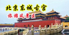 大鸡巴插死我视频中国北京-东城古宫旅游风景区